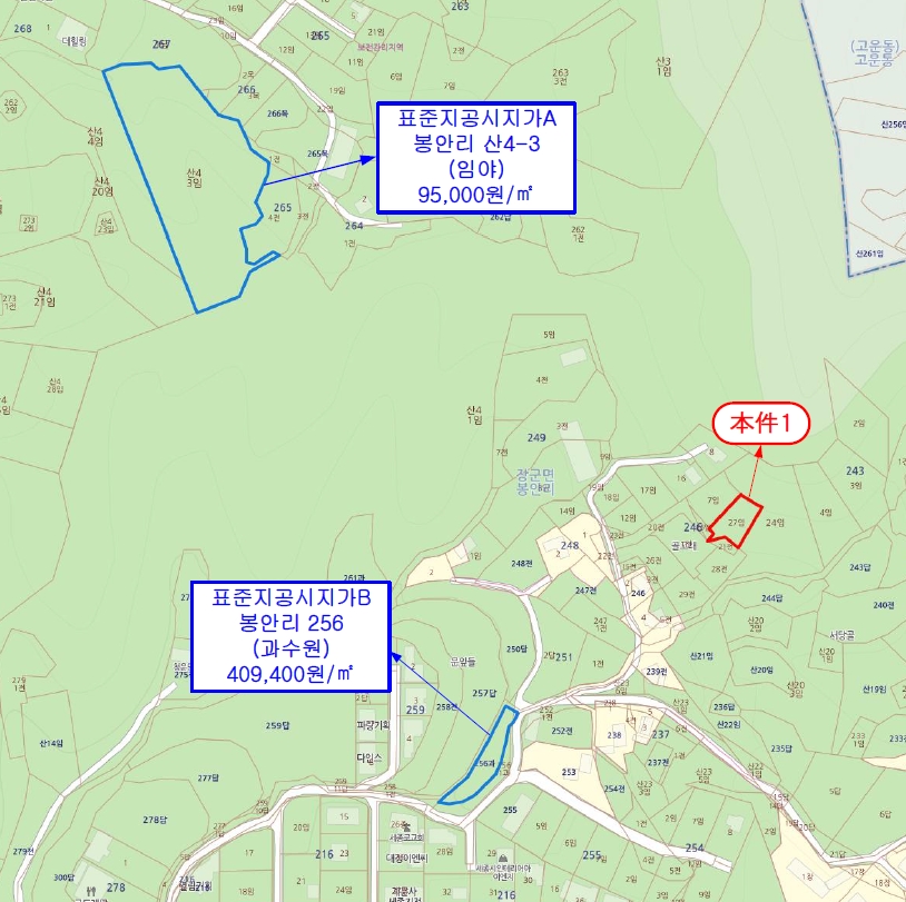 세종특별자치시 장군면 봉안리 246-7 외 3필지 임야 경매 사진 30
