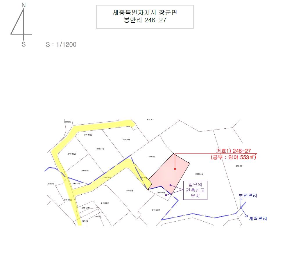 세종특별자치시 장군면 봉안리 246-7 외 3필지 임야 경매 사진 31