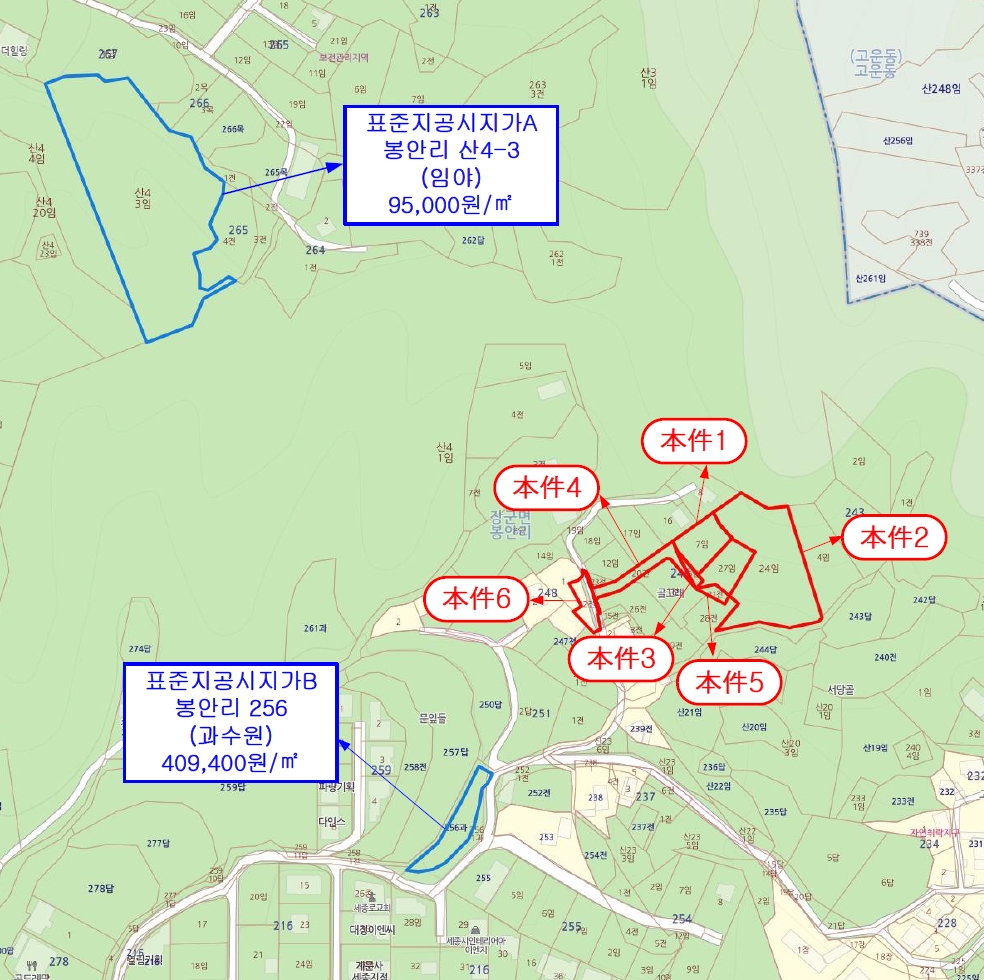 세종특별자치시 장군면 봉안리 246-7 외 3필지 임야 경매 사진 32