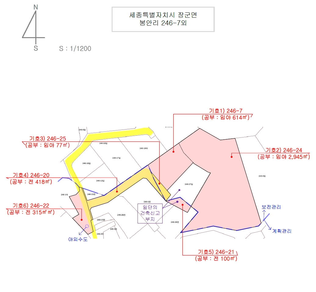 세종특별자치시 장군면 봉안리 246-7 외 3필지 임야 경매 사진 33