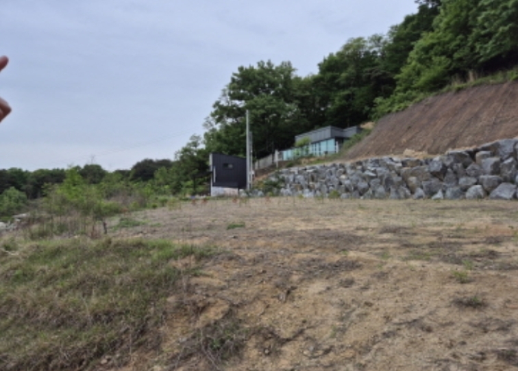 세종특별자치시 장군면 봉안리 246-7 외 3필지 임야 경매 사진 7