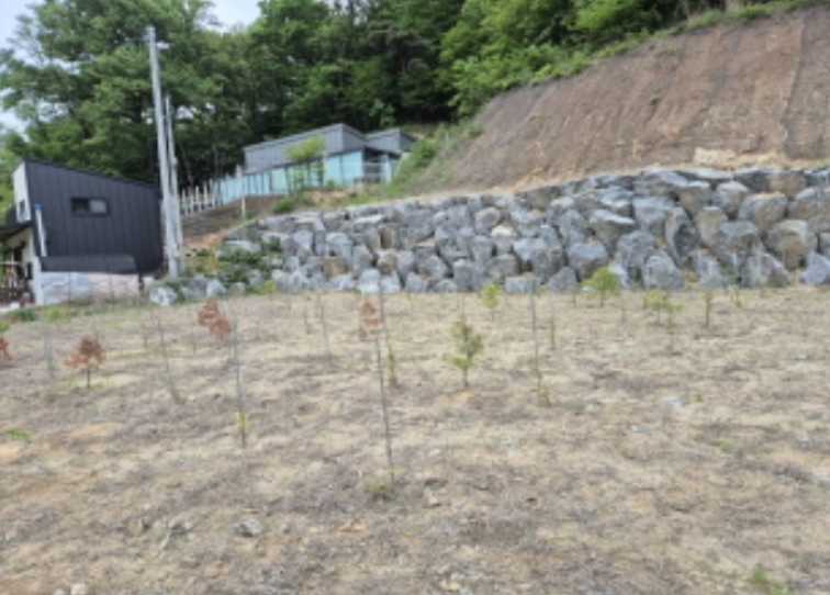 세종특별자치시 장군면 봉안리 246-7 외 3필지 임야 경매 사진 8