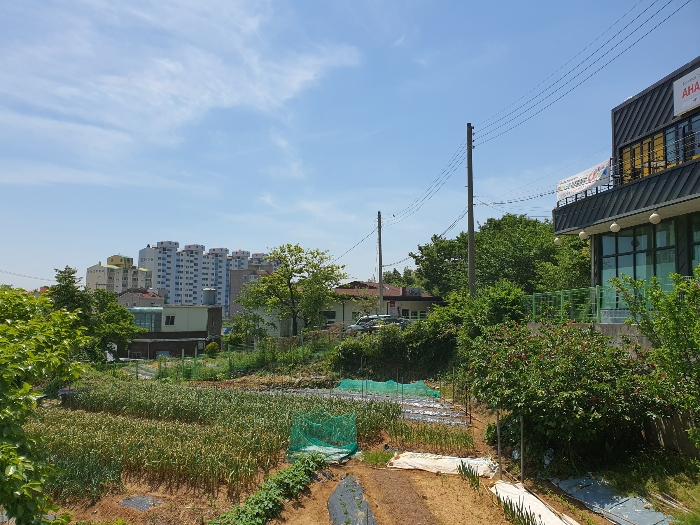 경상남도 창원시 진해구 풍호동 195 외 3필지 근린생활시설 경매 사진 10