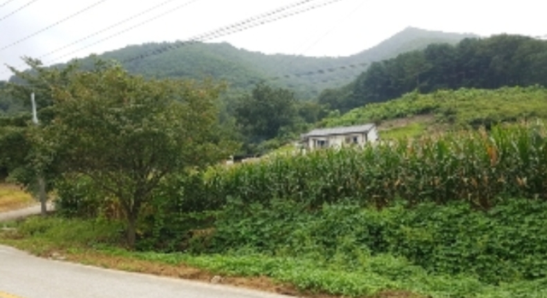 강원특별자치도 화천군 상서면 다목리 17-14 외 1필지 단독주택 경매 사진 6