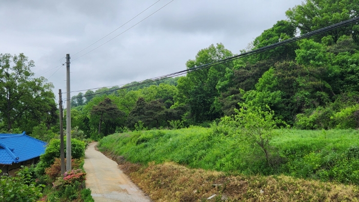 충청남도 아산시 인주면 관암리 255-17 임야 경매 사진 17