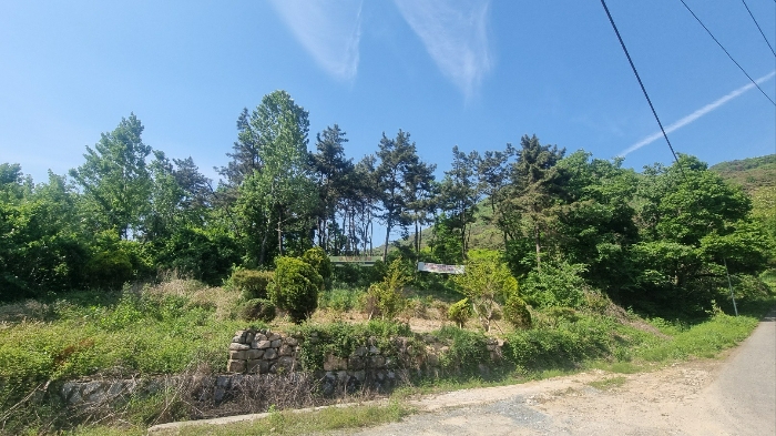 경상남도 김해시 한림면 안곡리 산17 임야 경매 사진 35