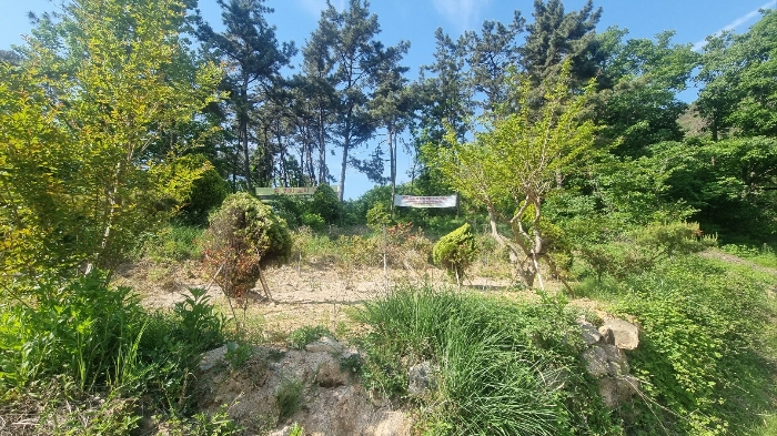 경상남도 김해시 한림면 안곡리 산17 임야 경매 사진 41