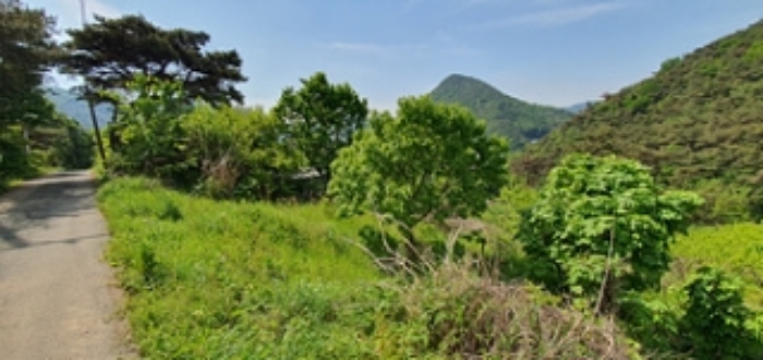 경상남도 김해시 한림면 안곡리 산17 임야 경매 사진 26