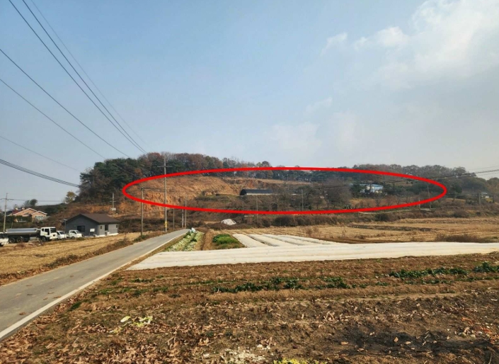 충청남도 당진시 송악읍 가학리 286-5 외 1필지 과수원 경매 사진 2
