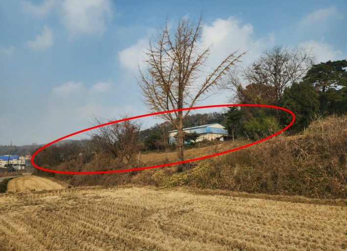 충청남도 당진시 송악읍 가학리 286-5 외 1필지 과수원 경매 사진 3