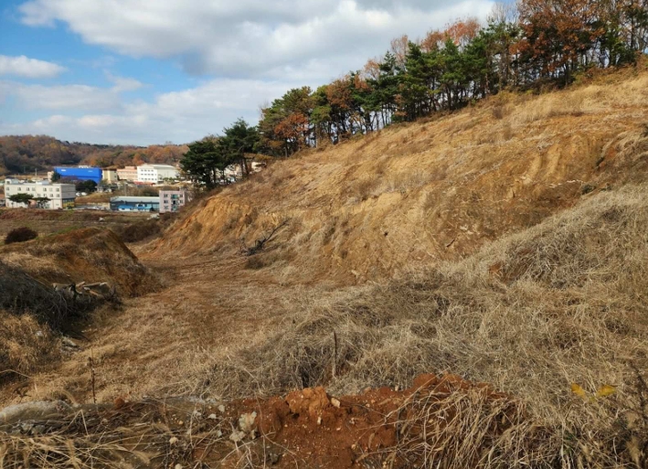 충청남도 당진시 송악읍 가학리 286-5 외 1필지 과수원 경매 사진 23