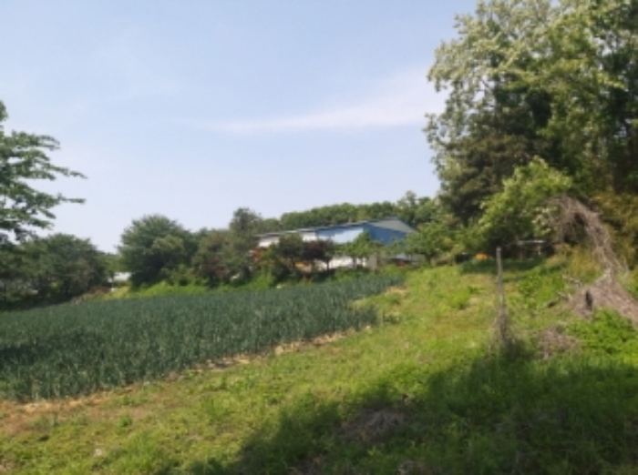 충청남도 당진시 송악읍 가학리 286-5 외 1필지 과수원 경매 사진 53