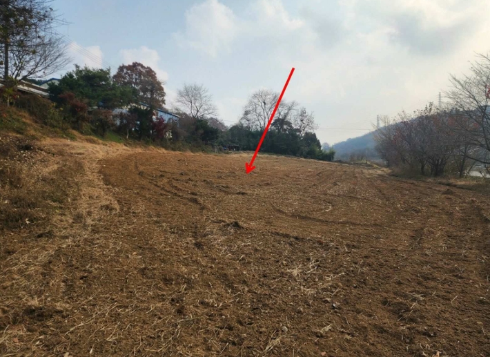 충청남도 당진시 송악읍 가학리 286-5 외 1필지 과수원 경매 사진 7