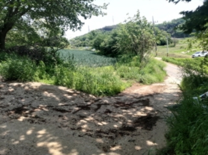 충청남도 당진시 송악읍 가학리 286-5 외 1필지 과수원 경매 사진 64