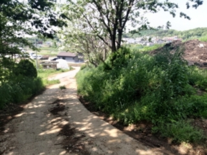 충청남도 당진시 송악읍 가학리 286-5 외 1필지 과수원 경매 사진 65