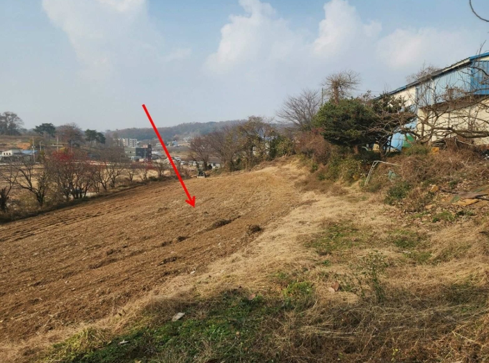충청남도 당진시 송악읍 가학리 286-5 외 1필지 과수원 경매 사진 8