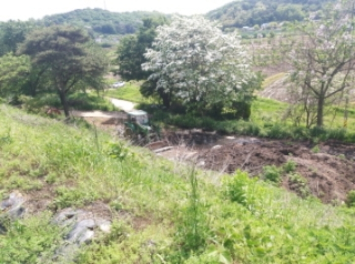 충청남도 당진시 송악읍 가학리 286-5 외 1필지 과수원 경매 사진 83