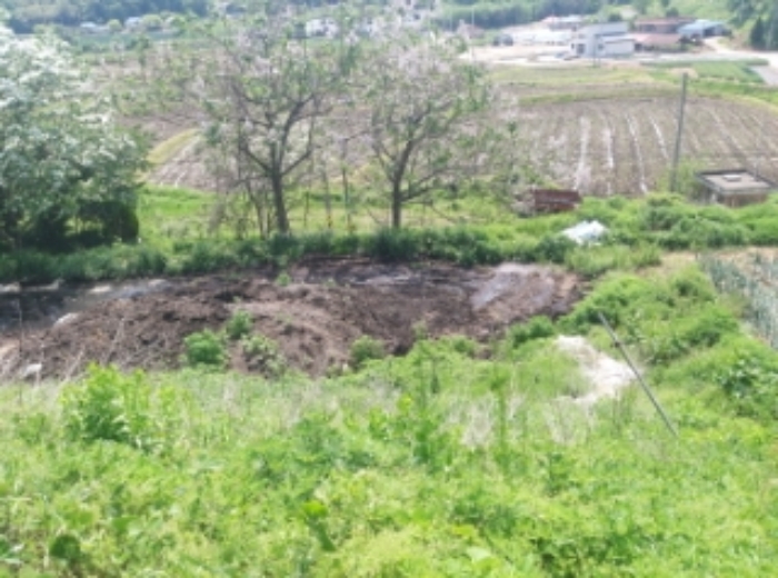 충청남도 당진시 송악읍 가학리 286-5 외 1필지 과수원 경매 사진 84