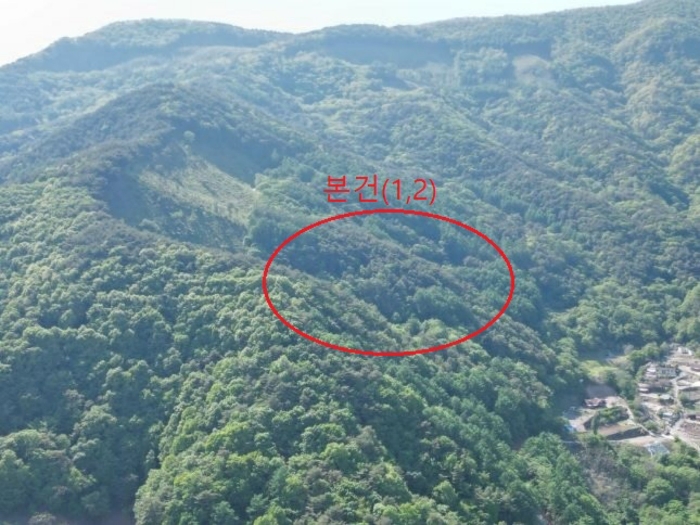 충청북도 단양군 영춘면 오사리 318-4 외 1필지 전 경매 사진 3