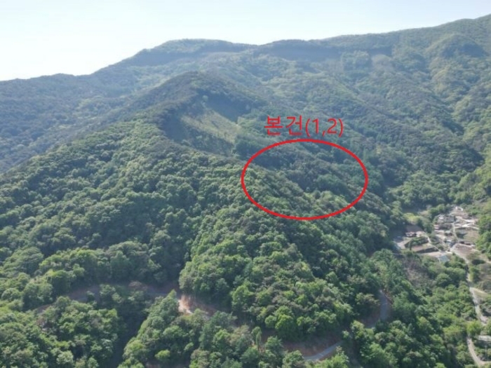 충청북도 단양군 영춘면 오사리 318-4 외 1필지 전 경매 사진 4