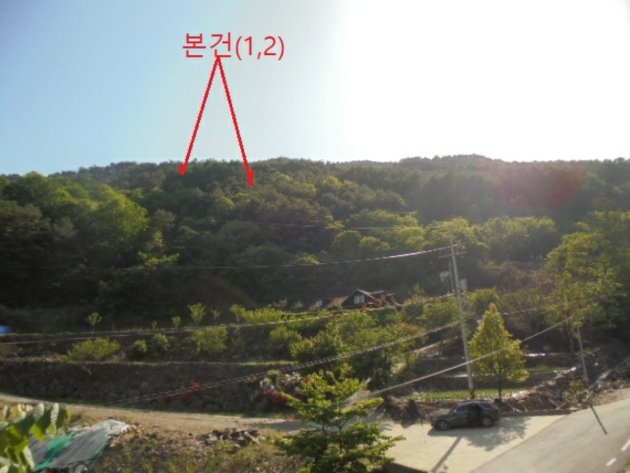 충청북도 단양군 영춘면 오사리 318-4 외 1필지 전 경매 사진 5