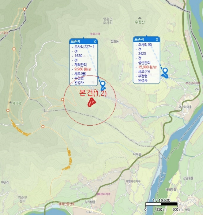 충청북도 단양군 영춘면 오사리 318-4 외 1필지 전 경매 사진 8