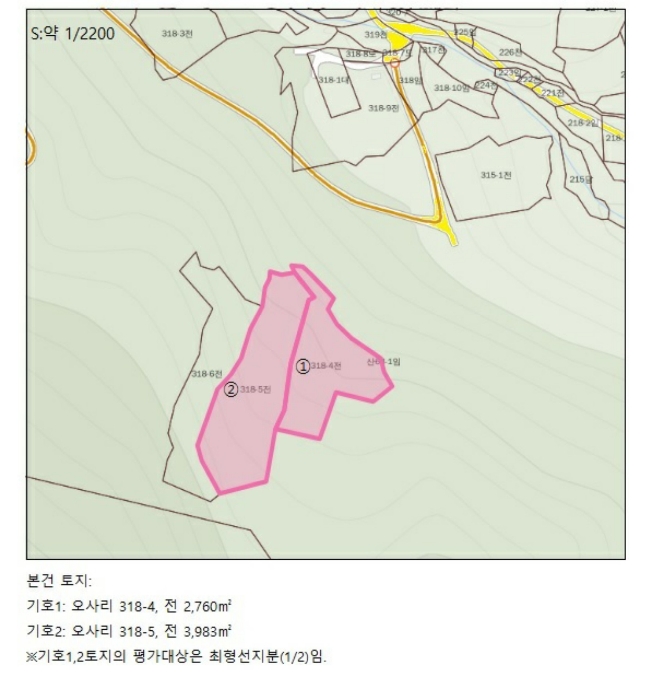 충청북도 단양군 영춘면 오사리 318-4 외 1필지 전 경매 사진 9
