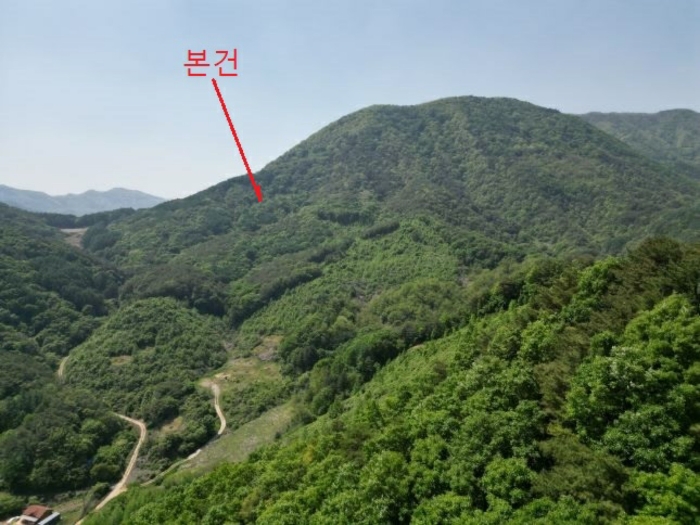 충청북도 단양군 영춘면 만종리 696 전 경매 사진 2