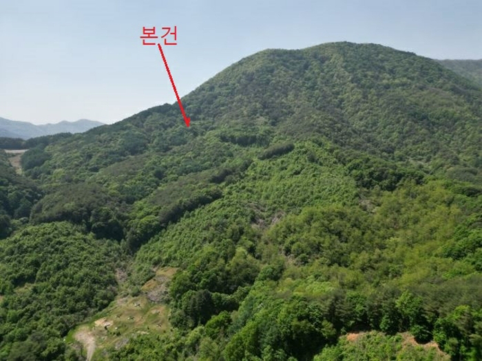 충청북도 단양군 영춘면 만종리 696 전 경매 사진 3