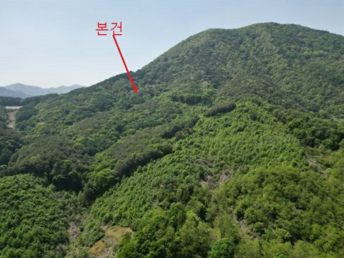 충청북도 단양군 영춘면 만종리 696 전 경매 사진 4