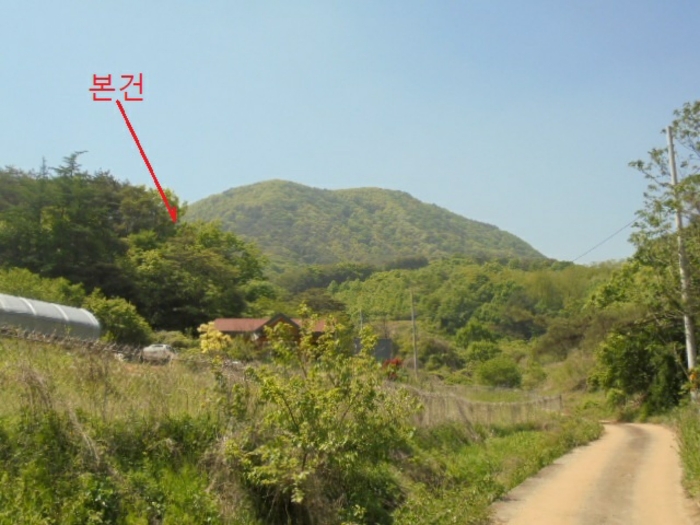 충청북도 단양군 영춘면 만종리 696 전 경매 사진 5