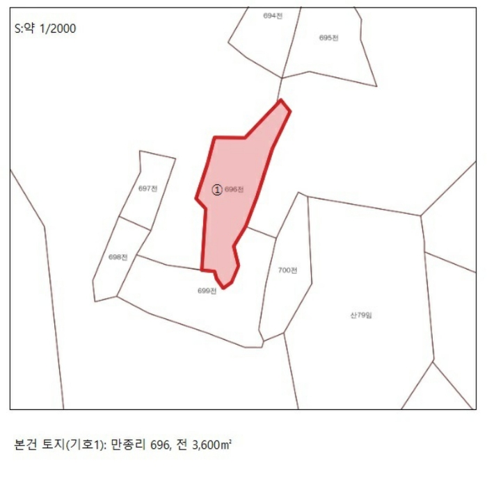 충청북도 단양군 영춘면 만종리 696 전 경매 사진 9