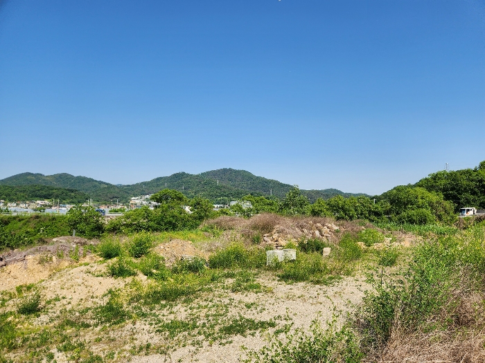경상북도 성주군 성주읍 학산리 산2-1 외 14필지 임야 경매 사진 19