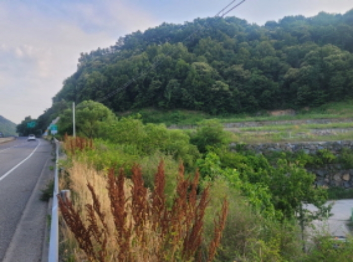 경상북도 성주군 성주읍 학산리 산2-1 외 14필지 임야 경매 사진 3