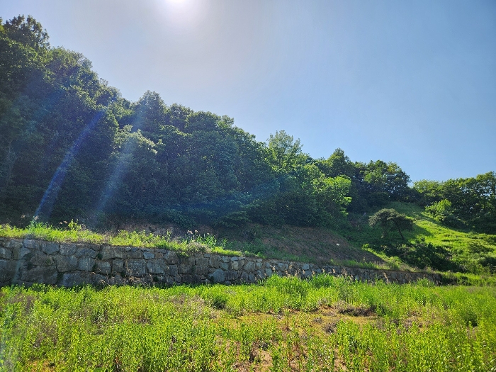 경상북도 성주군 성주읍 학산리 산2-1 외 14필지 임야 경매 사진 10