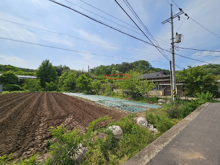 경상남도 함안군 법수면 대송리 1061 대지 경매 사진 15