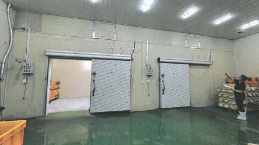 부산광역시 사하구 장림동 1083-2 공장 경매 사진 15