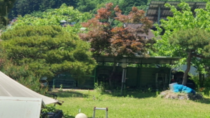 경기도 광주시 회덕동 156-3 외 2필지 과수원 경매 사진 1
