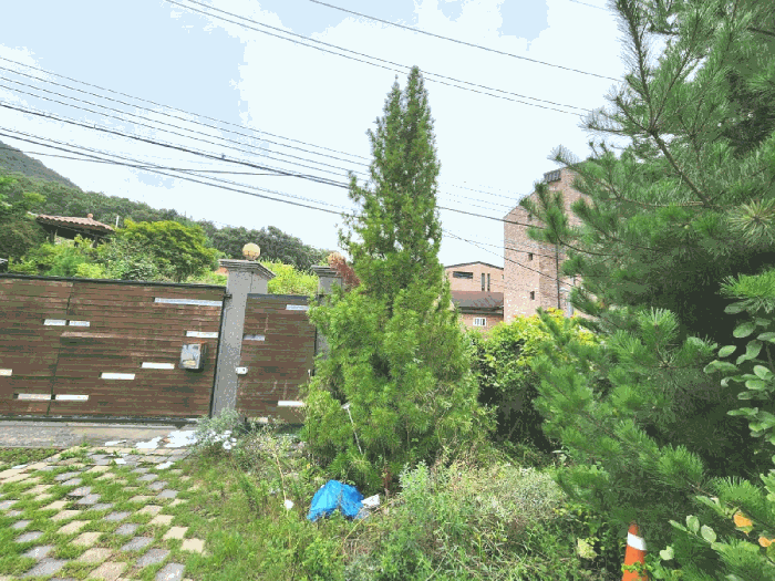 경기도 광주시 회덕동 156-3 외 2필지 과수원 경매 사진 12