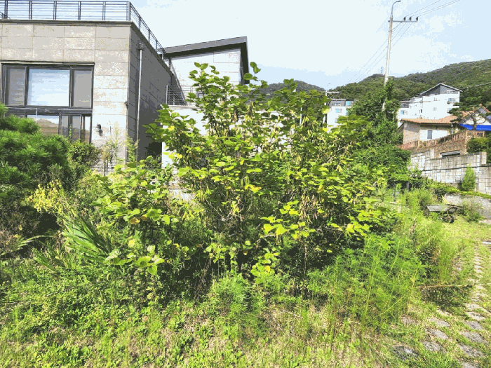 경기도 광주시 회덕동 156-3 외 2필지 과수원 경매 사진 27