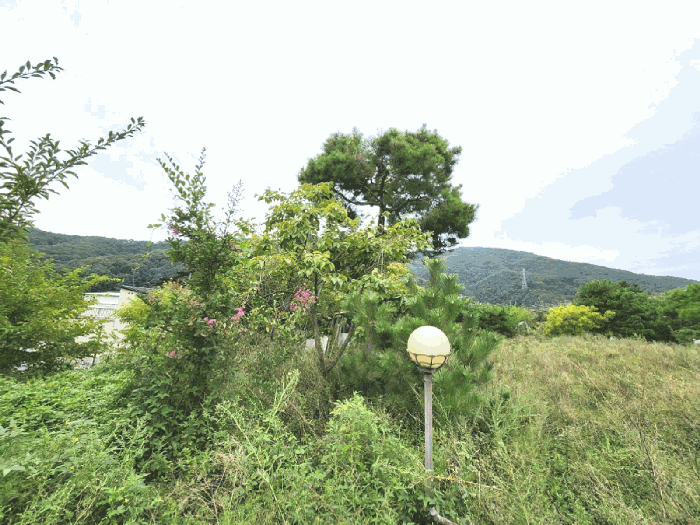 경기도 광주시 회덕동 156-3 외 2필지 과수원 경매 사진 35