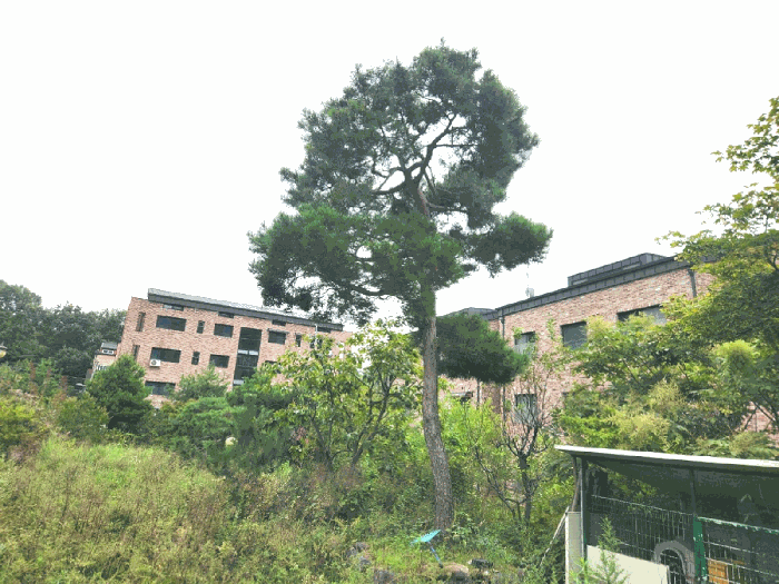 경기도 광주시 회덕동 156-3 외 2필지 과수원 경매 사진 42