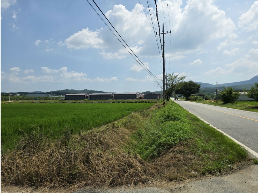 충청북도 충주시 신니면 견학리 822 외 1필지 동물및식물관련시설 경매 사진 29