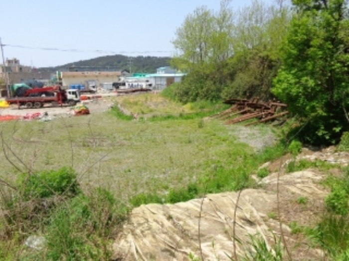 충청남도 태안군 근흥면 신진도리 70 외 4필지 전 경매 사진 2