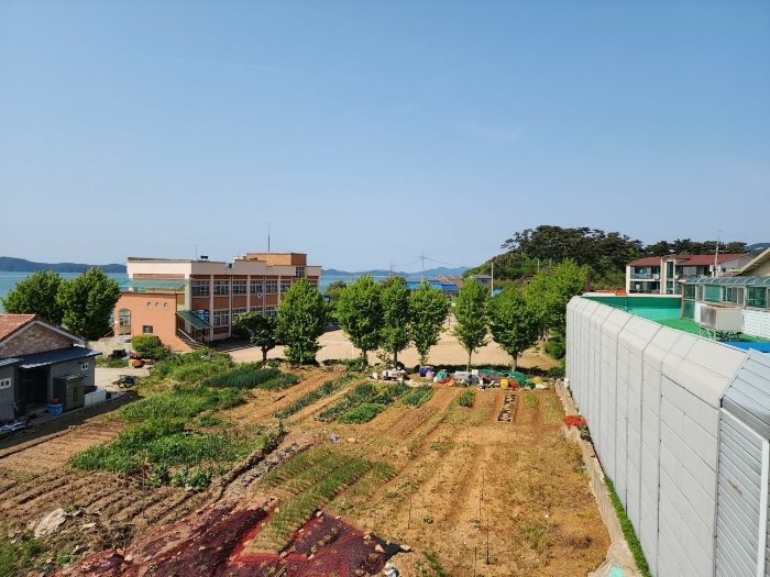 충청남도 태안군 근흥면 신진도리 70 외 4필지 전 경매 사진 25