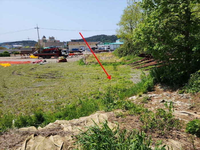 충청남도 태안군 근흥면 신진도리 70 외 4필지 전 경매 사진 26
