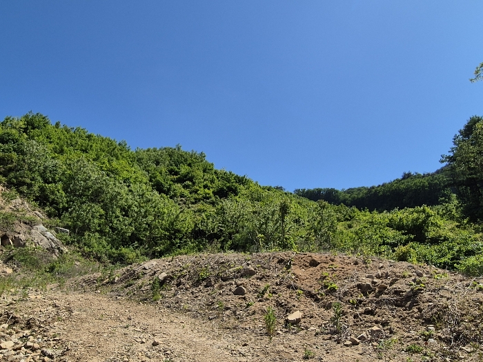 충청북도 괴산군 사리면 수암리 391-3 외 3필지 동물및식물관련시설 경매 사진 14