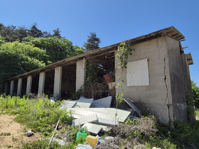 충청북도 괴산군 사리면 수암리 391-3 외 3필지 동물및식물관련시설 경매 사진 19