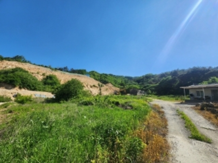 충청북도 괴산군 사리면 수암리 391-3 외 3필지 동물및식물관련시설 경매 사진 6
