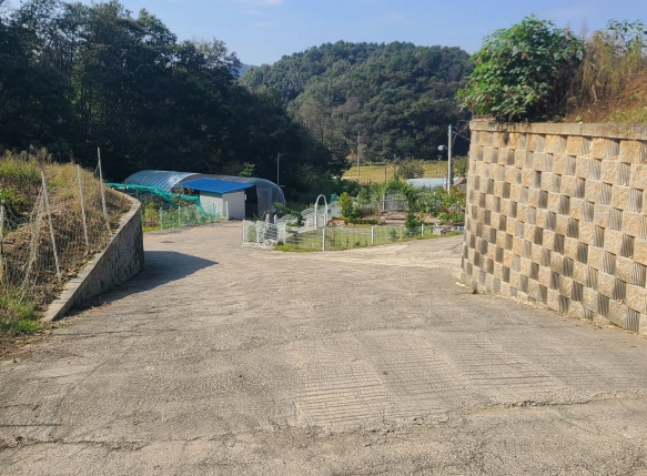 세종특별자치시 연서면 신대리 307-5 외 4필지 임야 경매 사진 5